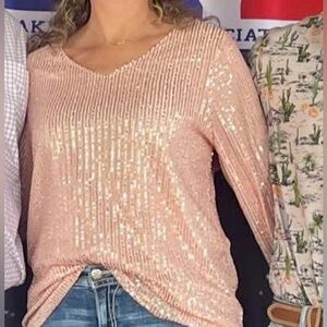 Sequin V-Neck Blush Pink Top